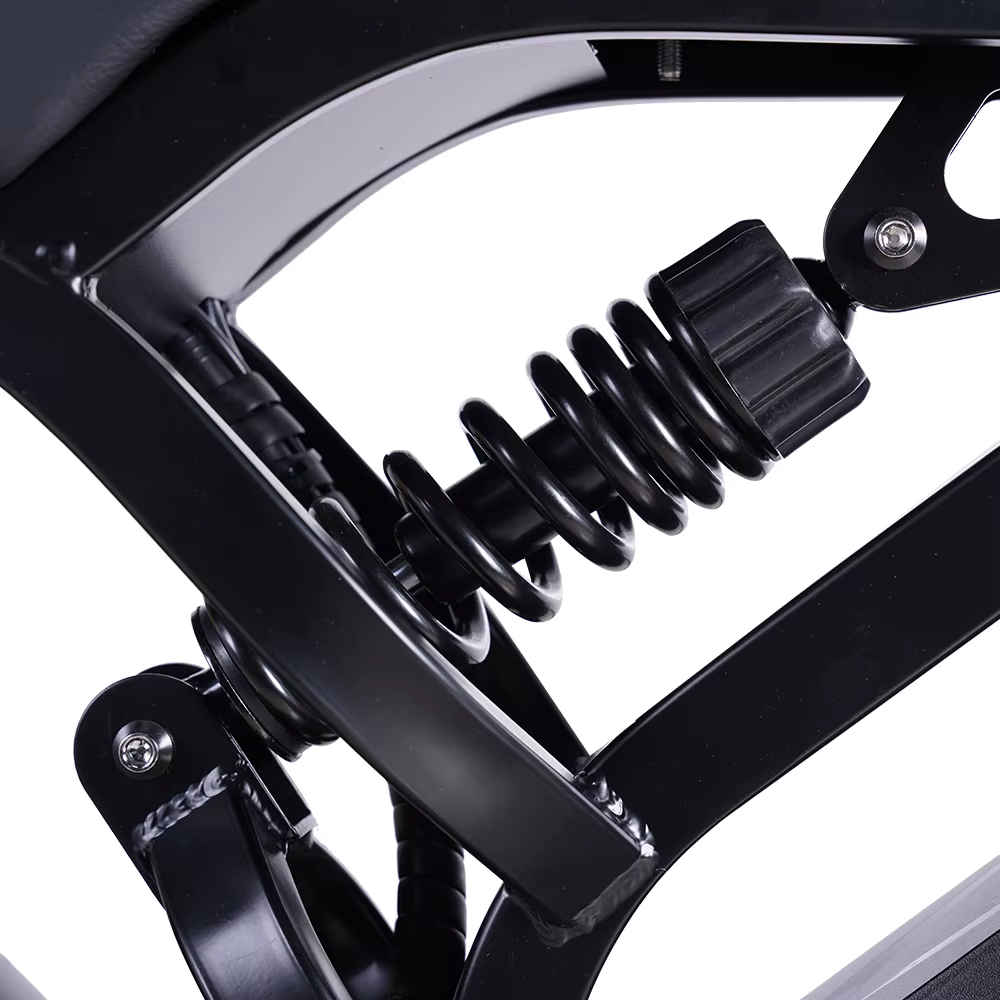 LAC.ONE fatbike moped 20“