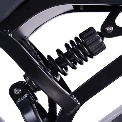 LAC.ONE fatbike moped 20“