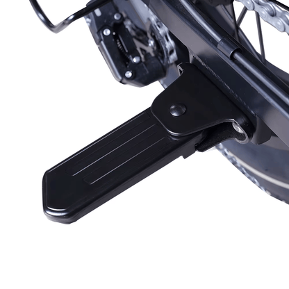 LAC.ONE fatbike moped 20“